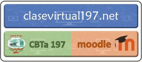 Clase Virtual 197